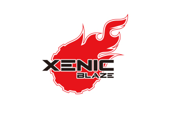 孫金澤的XenicBlazelogo設(shè)計