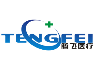 李正東的河南省騰飛醫(yī)療器械有限公司logo設計