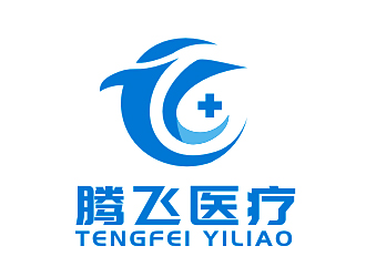 李杰的河南省騰飛醫(yī)療器械有限公司logo設(shè)計(jì)