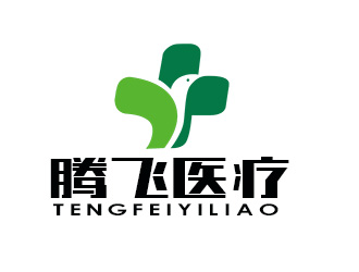 朱兵的河南省騰飛醫(yī)療器械有限公司logo設計