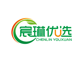 王濤的宸琳優(yōu)選logo設(shè)計(jì)