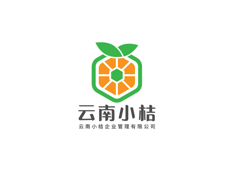 李寧的云南小桔企業(yè)管理有限公司logo設計