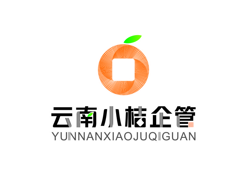 向紅的云南小桔企業(yè)管理有限公司logo設計